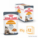 Royal Canin Hair & Skin Care i gelé vådfoder til katte (12x85 g)