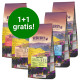 Prøv nu: Seberus kornfrit hundefoder 1+1 gratis