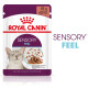 Royal Canin Sensory Feel vådfoder til katte (85 g)