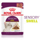 Royal Canin Sensory Smell vådfoder til katte