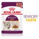 Royal Canin Sensory Taste vådfoder til katte