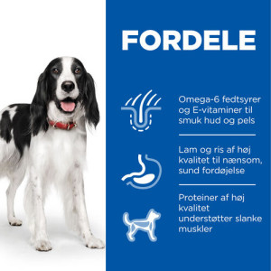 Hill's Adult Medium lam & ris hundefoder