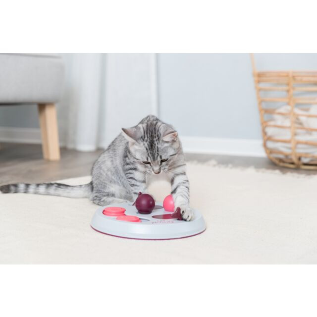 Cat Activity Flip Board voor de kat