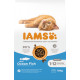 Iams Kitten kattefoder med havfisk