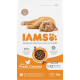 Iams For Vitality Kitten Kip Kattenvoer