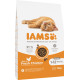 Iams For Vitality Kitten Kip Kattenvoer
