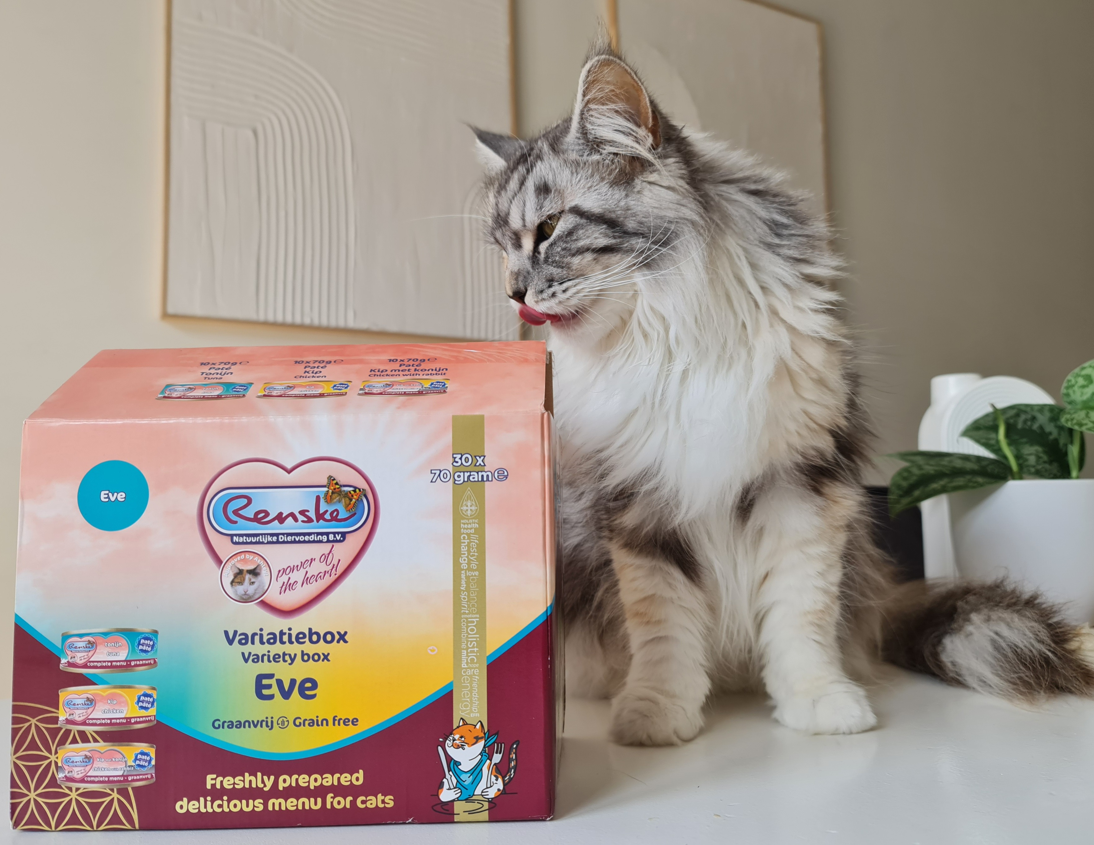 Renske Paté Variatie box EVE kattenvoer (30x70gr)
