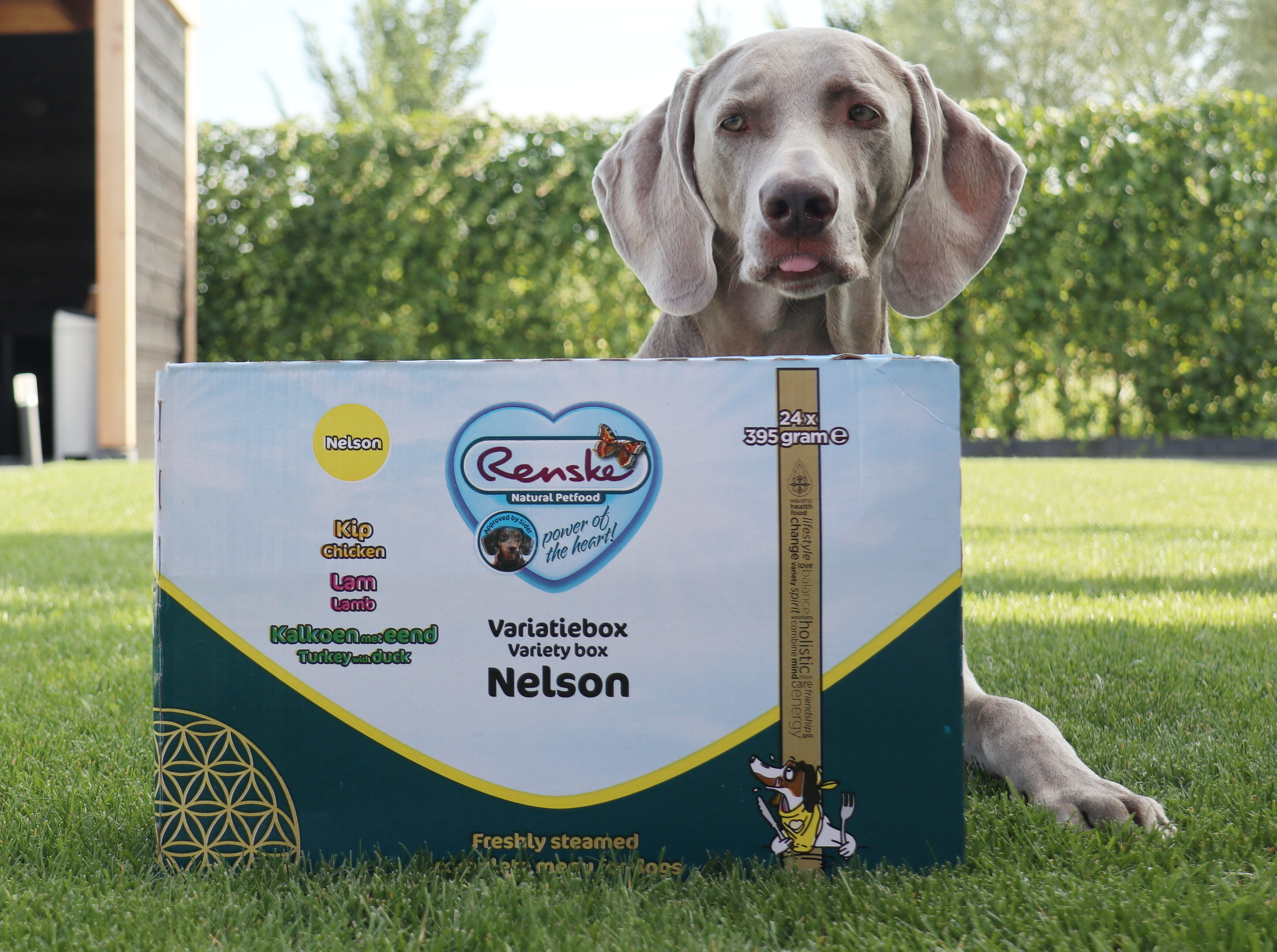 Renske Multibox Nelson vådfoder til hunde (24 x 395 g)