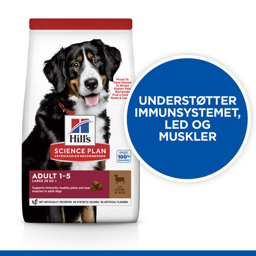 Hill's Adult Advanced Fitness Large Breed Lamm & Reis Hundefutter 