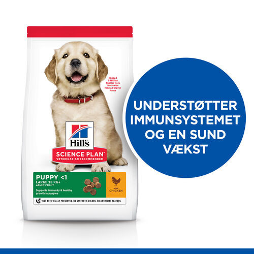 Hill's Puppy Healthy Development Large Breed Huhn Hundefutter 