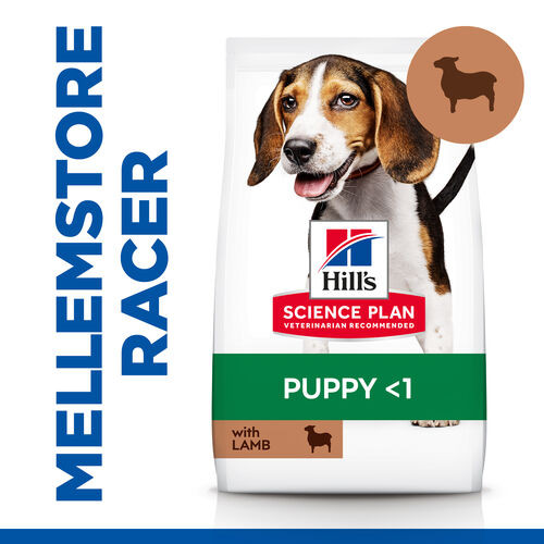 Hill's Puppy Healthy Development Lamm & Reis Hundefutter 