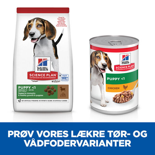 Hill's Puppy Healthy Development Lamm & Reis Hundefutter 