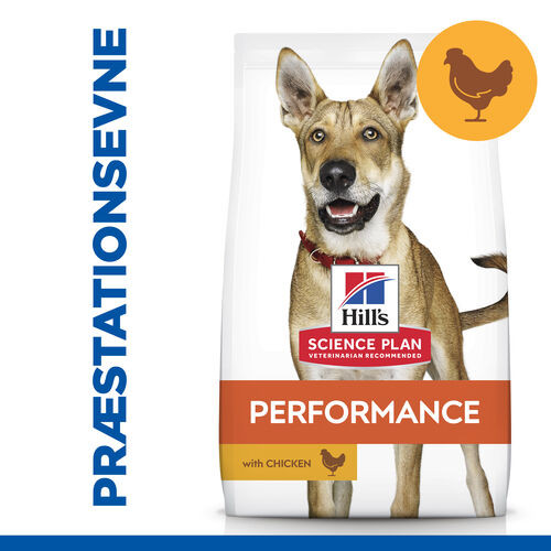 Hill's Adult Performance Huhn Hundefutter 