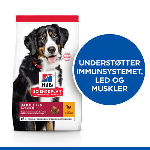 Hill's Adult Advanced Fitness Large Breed Huhn Hundefutter 