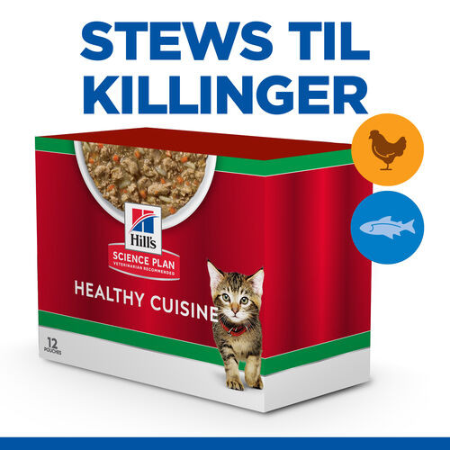 Hill's Healthy Cuisine Kitten Stew med kylling & grøntsager, med havfisk & grøntsager multipack