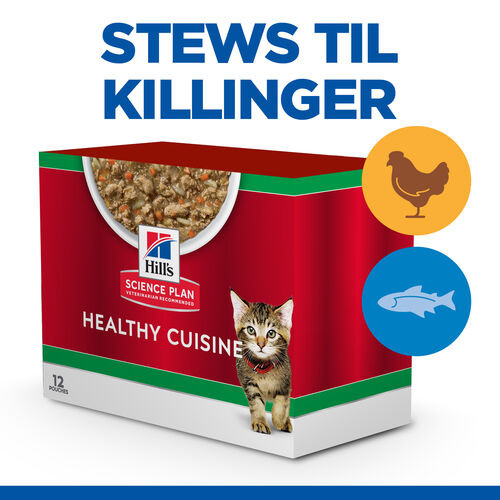 Hill's Healthy Cuisine Kitten Stew med kylling & grøntsager, med havfisk & grøntsager multipack