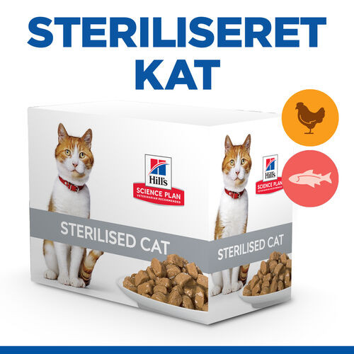 Hill's Healthy Cuisine Adult Sterilised Stew med kylling & grøntsager, med laks & grøntsager multipack til katte