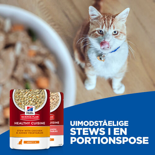 Hill's Healthy Cuisine Adult Sterilised Stew med kylling & grøntsager, med laks & grøntsager multipack til katte