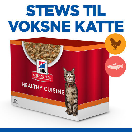 Hill's Healthy Cuisine Adult Stew med kylling & grøntsager, med laks & grøntsager multipack til katte