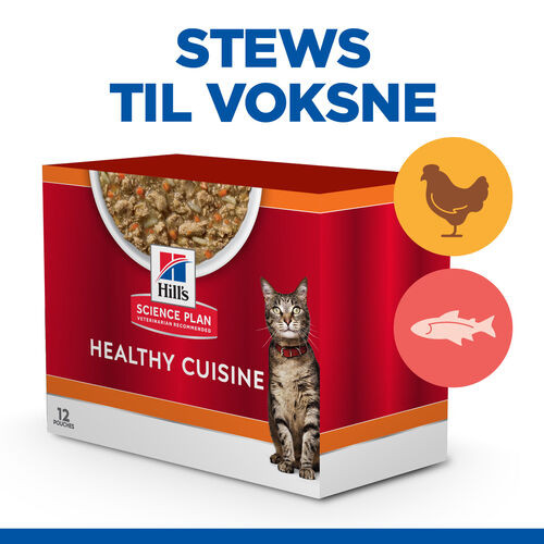 Hill's Healthy Cuisine Adult Stew med kylling & grøntsager, med laks & grøntsager multipack til katte