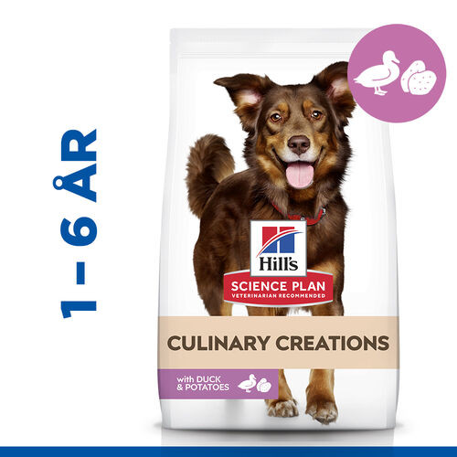 Hill's Culinary Creations Adult Medium hundefoder med and og kartoffel