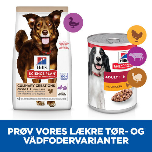 Hill's Culinary Creations Adult Medium hundefoder med and og kartoffel