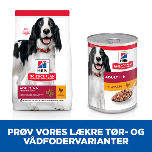 Hill's Adult kylling hundefoder (i dåse 370 gr)