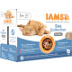 Iams Delights Adult Sea Collection (i sauce) vådfoder til katte (12x85 g)