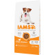 Iams for Vitality Adult Small & Medium med kylling hundefoder