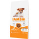 Iams for Vitality Puppy Small & Medium med kylling hundefoder