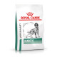 Royal Canin Veterinary Diabetic hundefoder