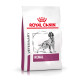 Royal Canin Veterinary Renal hundefoder