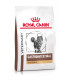 Royal Canin Veterinary Gastrointestinal Hairball kattefoder