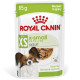 Royal Canin X-Small Adult vådfoder til hunde