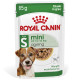 Royal Canin Mini Ageing vådfoder