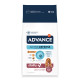 Advance Medium Senior med kylling og ris hundefoder