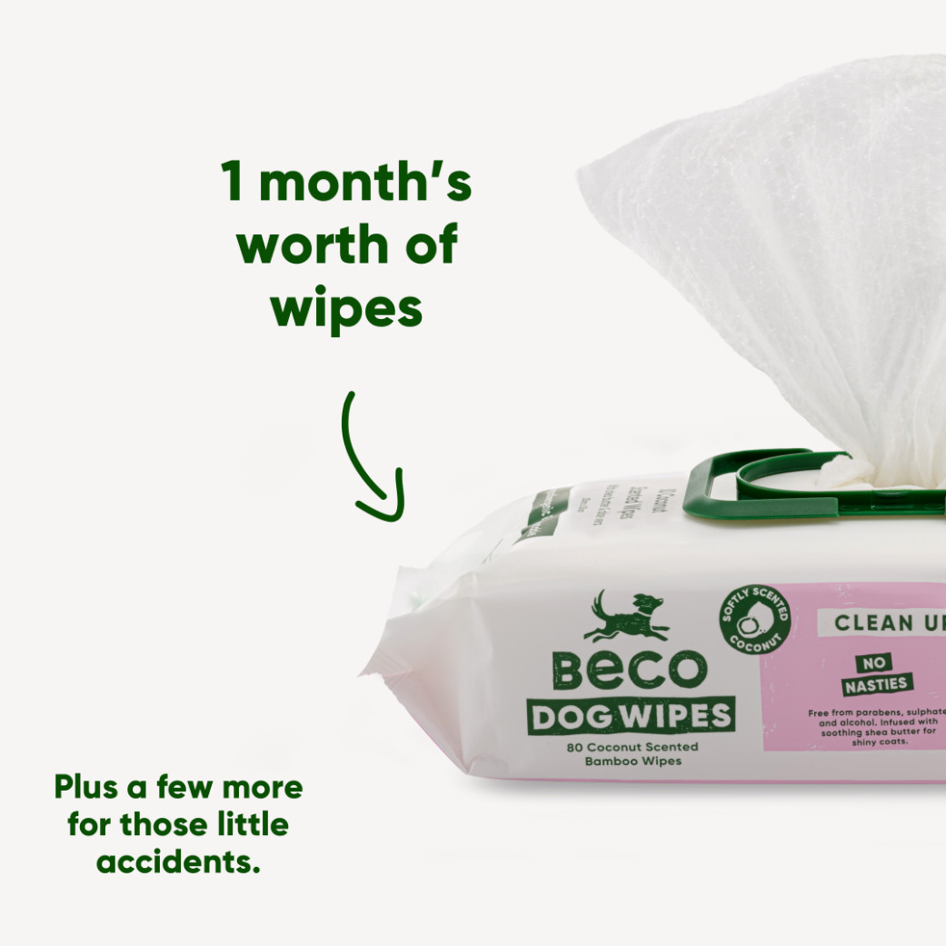 Beco Bamboo Dog Wipes hypoallergene doekjes hond (80 stuks)