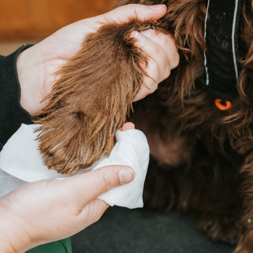 Beco Bamboo Dog Wipes hypoallergene doekjes hond (80 stuks)