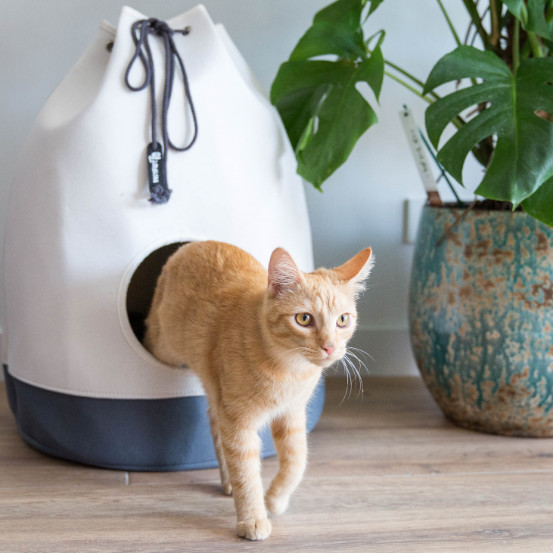 District 70 Casa kattenhuis en -mand opvouwbaar