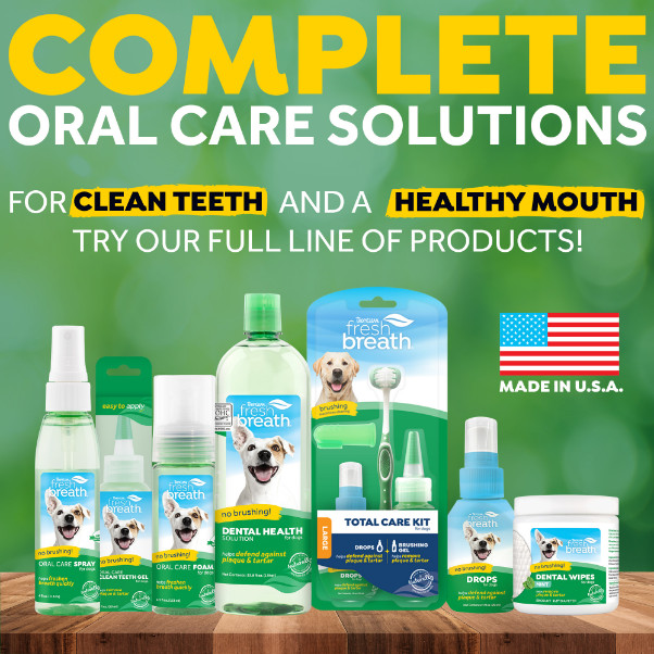 Tropiclean Fresh Breath Foam gebitsreiniging hond