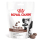 Royal Canin Gastrointestinal Treats hundesnack