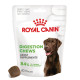 Royal Canin Digestion Chews kosttilskud til hund