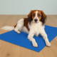 Kølemåtte til hunde XXL 120 x 80 cm