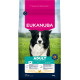 Eukanuba Adult Medium kylling hundefoder
