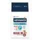 Advance Maxi Senior med kylling og ris hundefoder