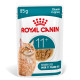 Royal Canin Ageing 11+ vådfoder til katte (i sauce eller gelé)