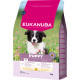 Eukanuba Puppy Medium kylling hundefoder