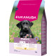 Eukanuba Puppy Large kylling hundefoder