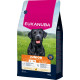 Eukanuba Junior Large kylling hundefoder