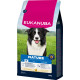 Eukanuba Mature Medium kylling hundefoder